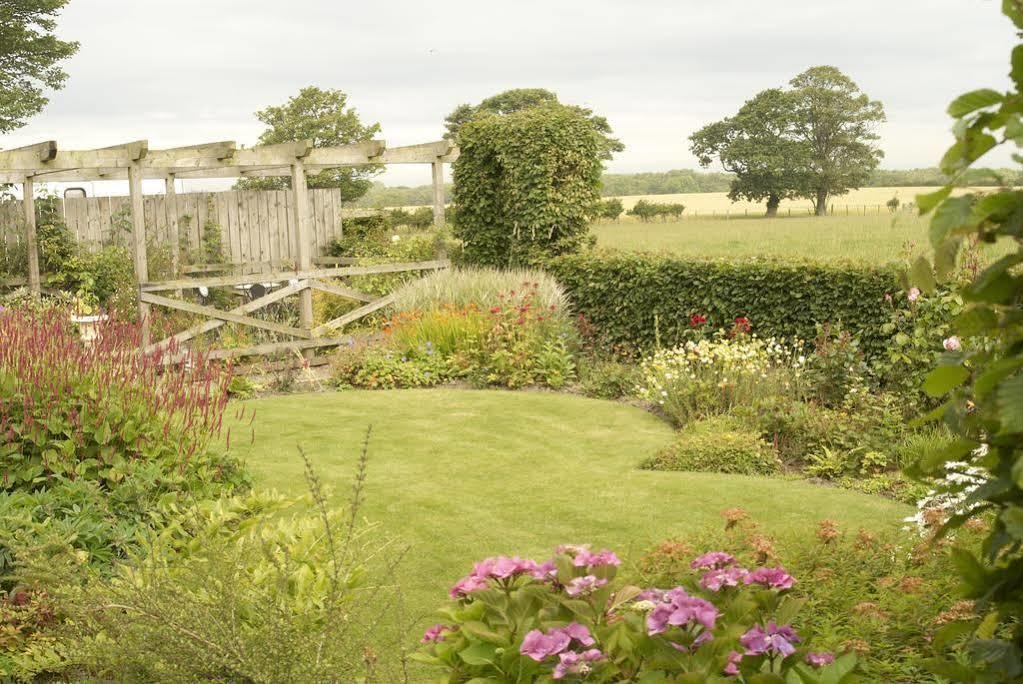 Northumberland Cottage B&B Acklington Ngoại thất bức ảnh